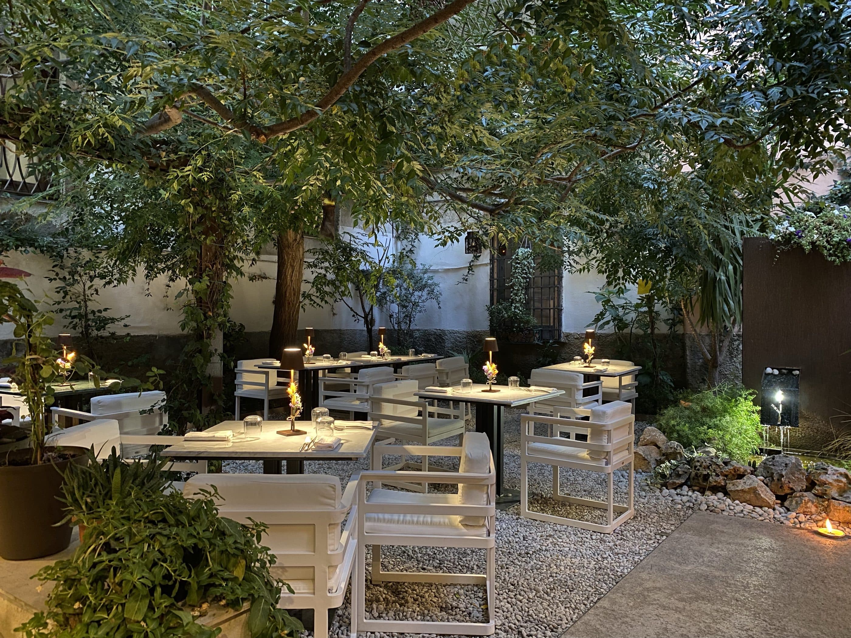 Il giardino nel cortile al crepuscolo, con i tavoli apparecchiati sotto la chioma dell'albero